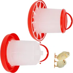 tm&w Common Bird Feeder image 4