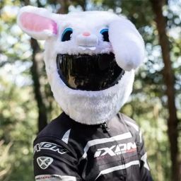 Motorcycle Helmet Cover Fancy – White Bunny Rabbit - 35 cm-15