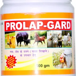 for care & cure of prolapse Pet Health Supplements-25