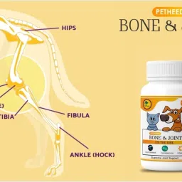 petheeds Bone and Joint Chewable Tablets with Lucious Chicken Flavored for Dog/Cat Pet Health Supplements image 5