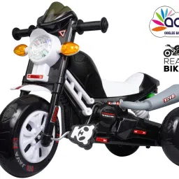 Java Tricycle Tricycle-image-16