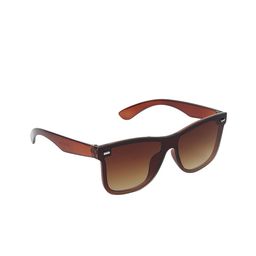 ALIGATORR Unisex Brown Lens & Brown Wayfarer Sunglasses with UV Protected Lens-9