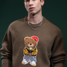 Men Self Design Round Neck Brown Sweater-image-67