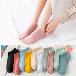 Women Printed Ankle Length, Mid-Calf/Crew, Low Cut-image-33