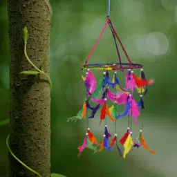 Multi Color Dream Catcher (Round Dream Catcher) Wall Hanging For Home And Office Feather Dream Catcher-image-64