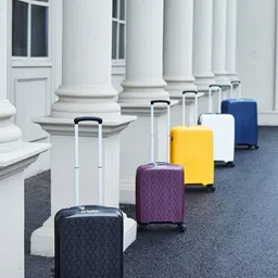 VERAGE Diamond Hard Sided Textured Cabin Trolley Bag-48.2cm-picture-7