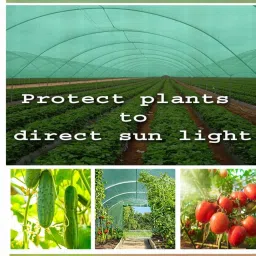 harsh kriti Shade Net(5Ft x 8Ft)- 75% Sunlight Block Multipurpose For Garden/Balcony Portable Green House image 5