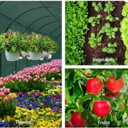 use way Green Shade Net(5Ft x 18Ft)- 70% Sunlight Block Multipurpose For Garden/Balcony Portable Green House image 5