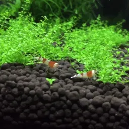 Platinum Aquarium Soil Aqua Soil Planted Substrate-11