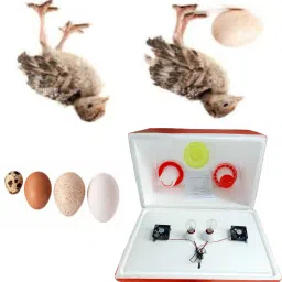 STC-1000 EPS Th Body 100 chicken capacity incubator 1.5 drinker 1.5 feeder free Egg Incubator-27
