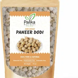 Natural Paneer Phool / Paneer Dodi / Indian Rennet, 100% Natural Anti-Diabetes Seed-image-36