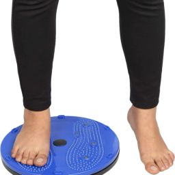 Acupressure Fat Burning Weight Loss ,Non-slip ,Slim & Fit Twister for Unisex Ab Exerciser-24