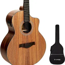 A05EQN Semi Acoustica Guitar Grand Auditorium body Zebra Wood with EQ Acoustic Guitar Rosewood Mahogany-image-63