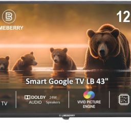 109 cm (43 inch) Full HD LED Smart Google TV with Remote-image-7