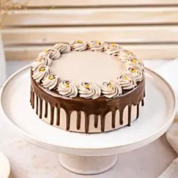Chocolate Fudge Cake Half Kg-image-60