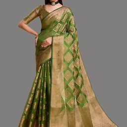 SILKWEAR Checked Zari Organza Banarasi Saree-picture-51