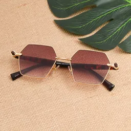 Ted Smith Unisex Brown Lens & Gold-Toned Square Sunglasses ADIE_C2-image-37