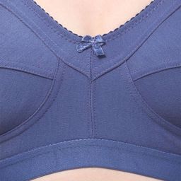 Narsingha Dreams Bra Full Coverage image 3