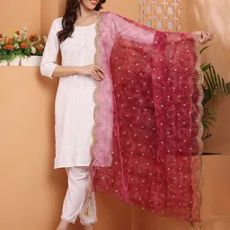Bunkraft Floral Embroidered Thread Work Organza Dupatta-picture-29