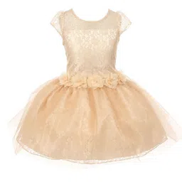 Wish little Cape Sleeve Net A-Line Dress-3