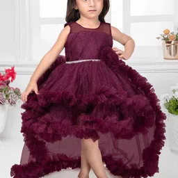 Lagorii Embellished Net Fit & Flare Dress-18