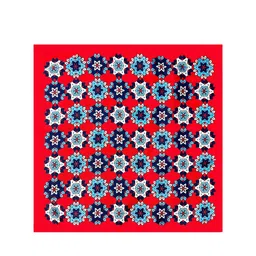 Leonardi Printed Pocket Squares-picture-39