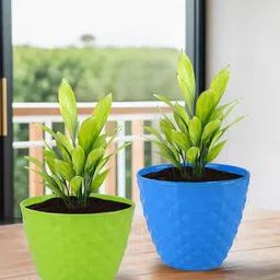 Kuber Industries Green & Blue 6 Pieces Diamond Pattern Durable Plastic Planters-9