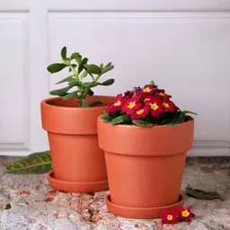 The handicraftian 2-Pcs Brown Large Gamala Planters image 3