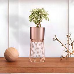 Royaloak Glossy Wire Large Planter With Stand-image-5