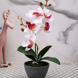 Myntra Elegant Homes Grey 1 Pieces Orchid Artificial Plant With Pot-image-30