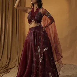 ARPITA SULAKSHANA Embellished Made to Measure Lehenga & Blouse With Dupatta-47