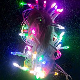 SPARK WORLD White Rice Shape String Lights-97