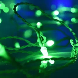 SPARK WORLD Green LED Rice String Lights image 3