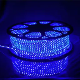 ENORMITY Blue & White Rice Shape String Lights image 3