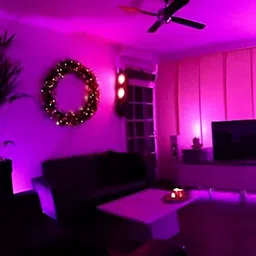 SPARK WORLD Pink Rice Shape String Lights image 3