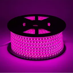 ENORMITY Pink Rice Shape String Lights image 3