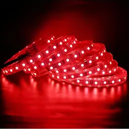 ENORMITY Red & Black Rice Shaped LED Rope String Lights image 4