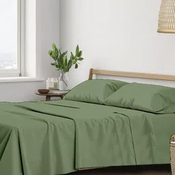 Trance Home Linen Green 400 TC King Bedsheet with 2 Pillow Covers-picture-14