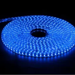 ENORMITY Blue & White Rice Shape String Lights image 5