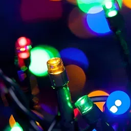SPARK WORLD Red & Green Rice Shaped Bulb String Lights image 2