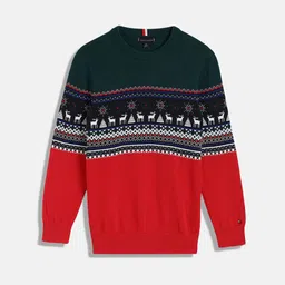 Tommy Hilfiger Boys Printed Pullover-44