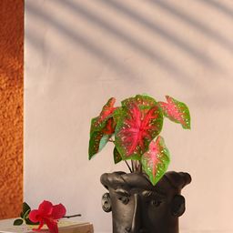 AKKAARA Black Textured Face Planter-image-49