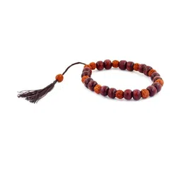 Divine souvenirs Unisex Rudraksha Elasticated Bracelet-image-18