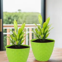 Kuber Industries 2-Pieces Green Textured Planters-48