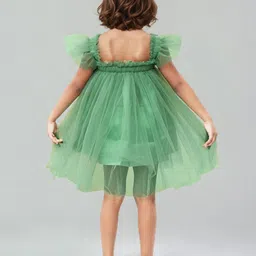 Toonyport Flutter Sleeve Net Fit & Flare Dress image 5