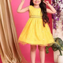 NEUDIS Embellished Net Fit & Flare Dress-22