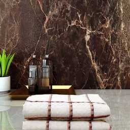 Aura 3 Pcs White & Brown Pure Cotton Hand Towels-22