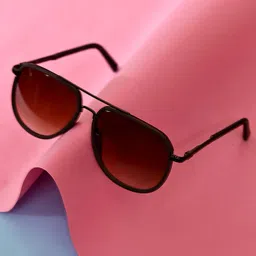 Garry Gobbs Unisex Brown Lens & Brown Aviator Sunglasses with-image-75