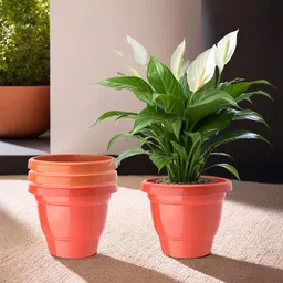 Kuber Industries Red & Orange-Coloured Set Of 4 Plastic 2-Layer Planters-21