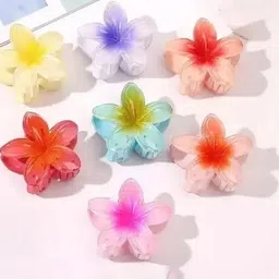 SZN Women Set of 7 Alligator Hair Clip-3
